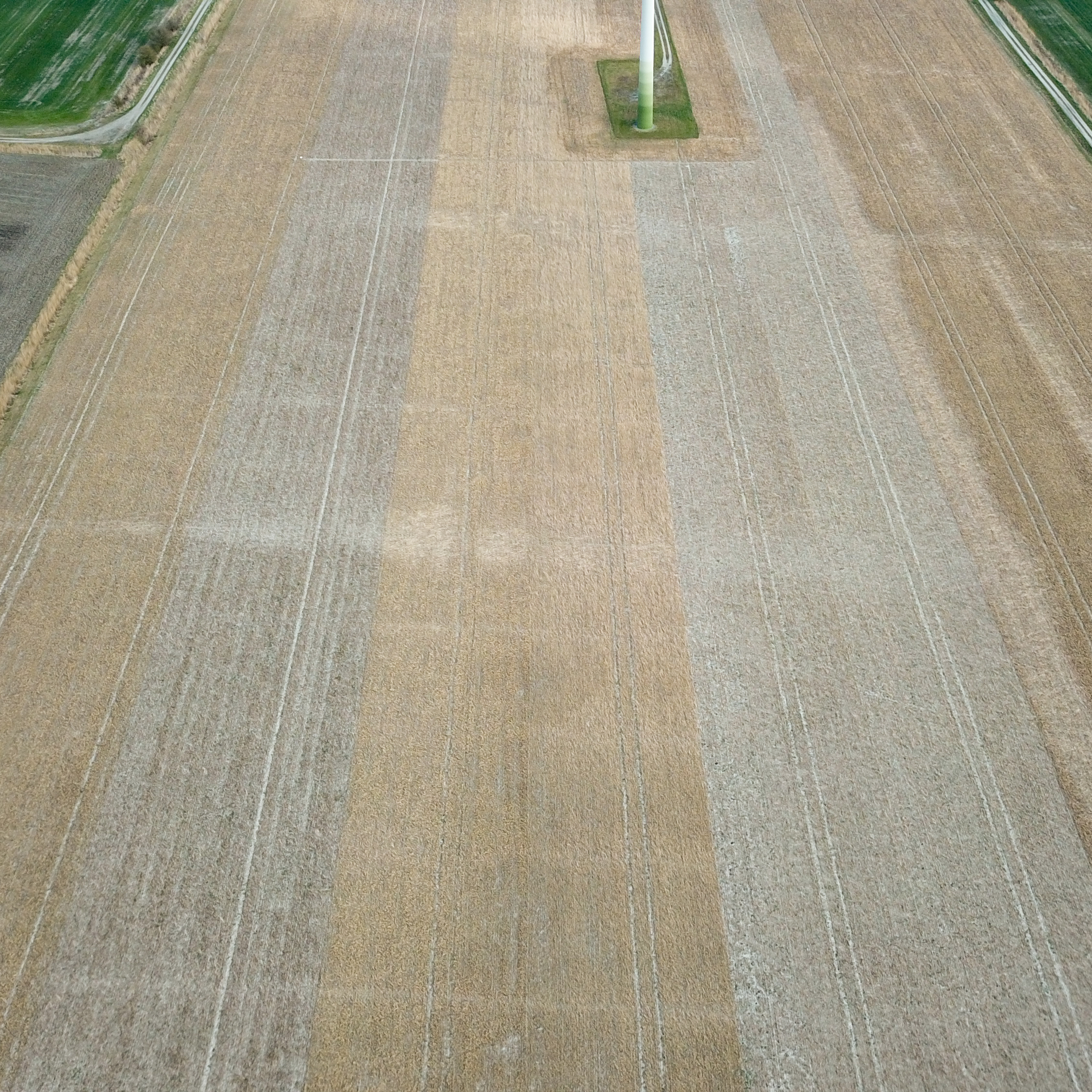 content/news/Aktueller Stand der Zwischenfrucht-Demo.jpg